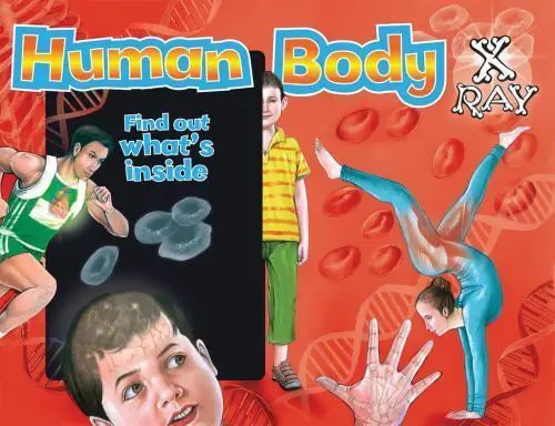 Human Body X-Ray: Find out what's inside (X-Ray Window Series) - human-body-x-ray-find-out-what-s-inside-x-ray-window-series