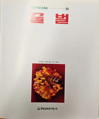 Rare Set of 10 Korean "Wonders of Nature" Books from 1990 - rare-set-of-10-korean-wonders-of-nature-books-from-1990 - rare-set-of-10-korean-wonders-of-nature-books-from-1990-2