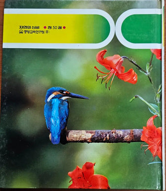 Rare Set of 5 Korean "Wonders of Nature" Books from 1990 - rare-set-of-5-korean-wonders-of-nature-books-from-1990 - rare-set-of-5-korean-wonders-of-nature-books-from-1990-2