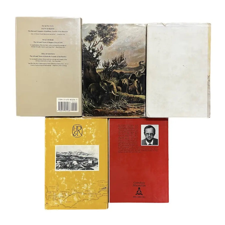 South African Chronicles Lot: Explorations, Heroes, and History 5 Book Set - south-african-chronicles-lot-explorations-heroes-and-history-5-book-set - south-african-chronicles-lot-explorations-heroes-and-history-5-book-set-2